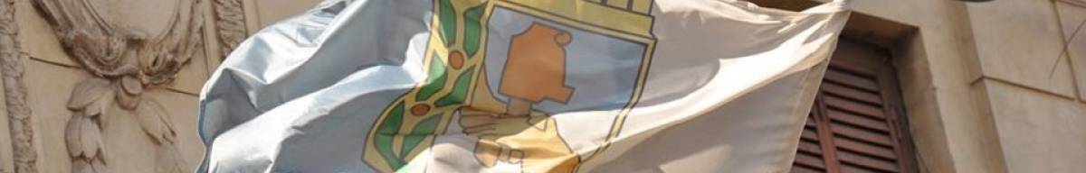 El peronismo y la supervivencia institucional