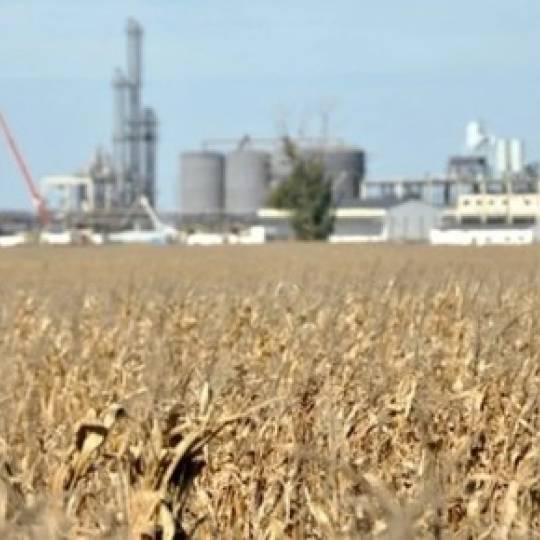 El agro entrerriano pierde terreno