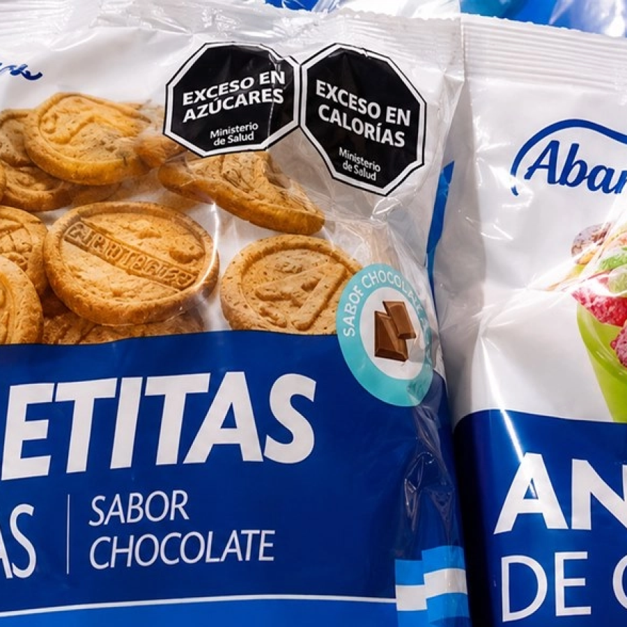 Teknofood SA: análisis de un error de gobierno