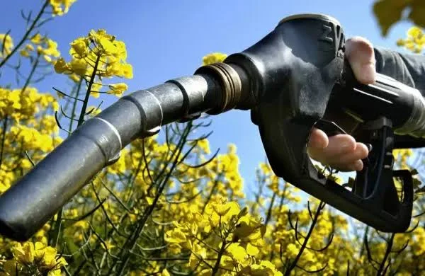 Biocombustibles: la BolsaCER advierte sobre el impacto del proyecto de ley en las plantas regionales